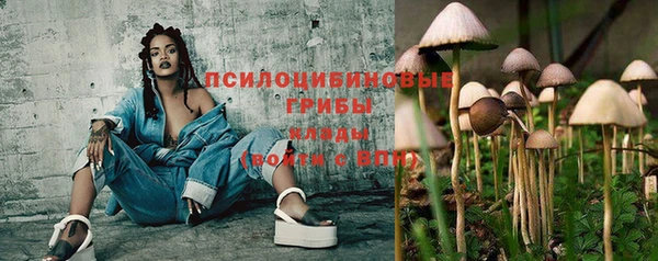 хмурый Лиски
