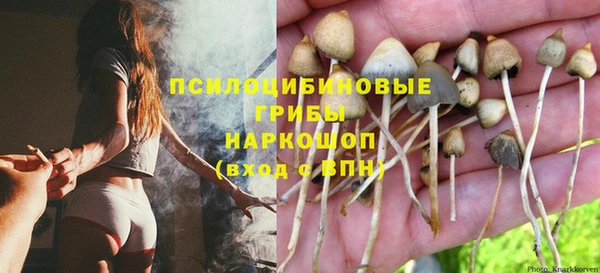 хмурый Лиски