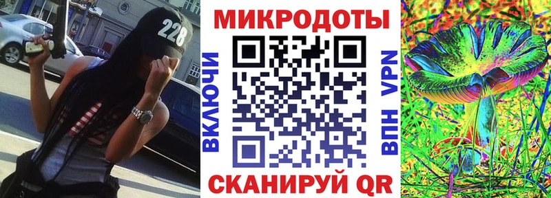 kraken ТОР  Ува  Галлюциногенные грибы Psilocybe 